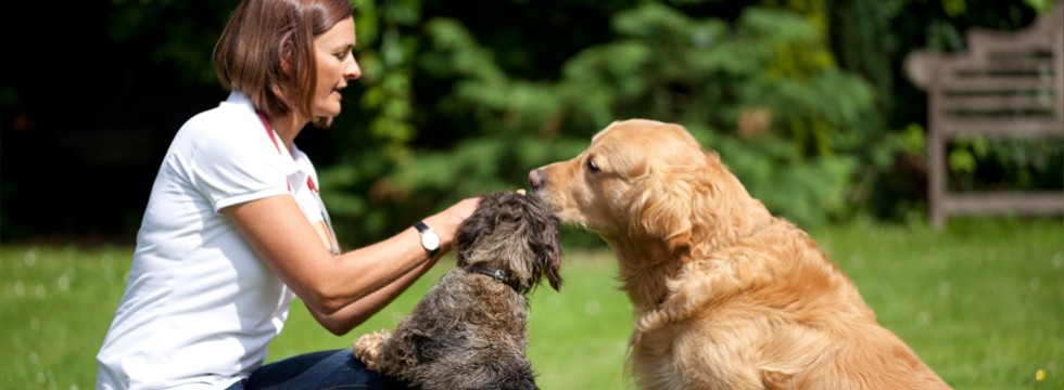 Dr. Busch Kleinmachnow » Fütterungsempfehlungen für Hund und Katze